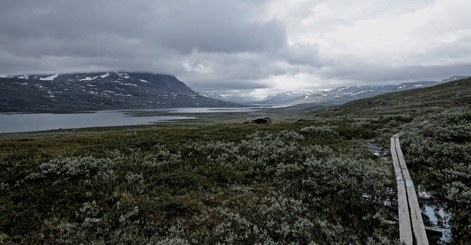 Mountains and grass with a visible path